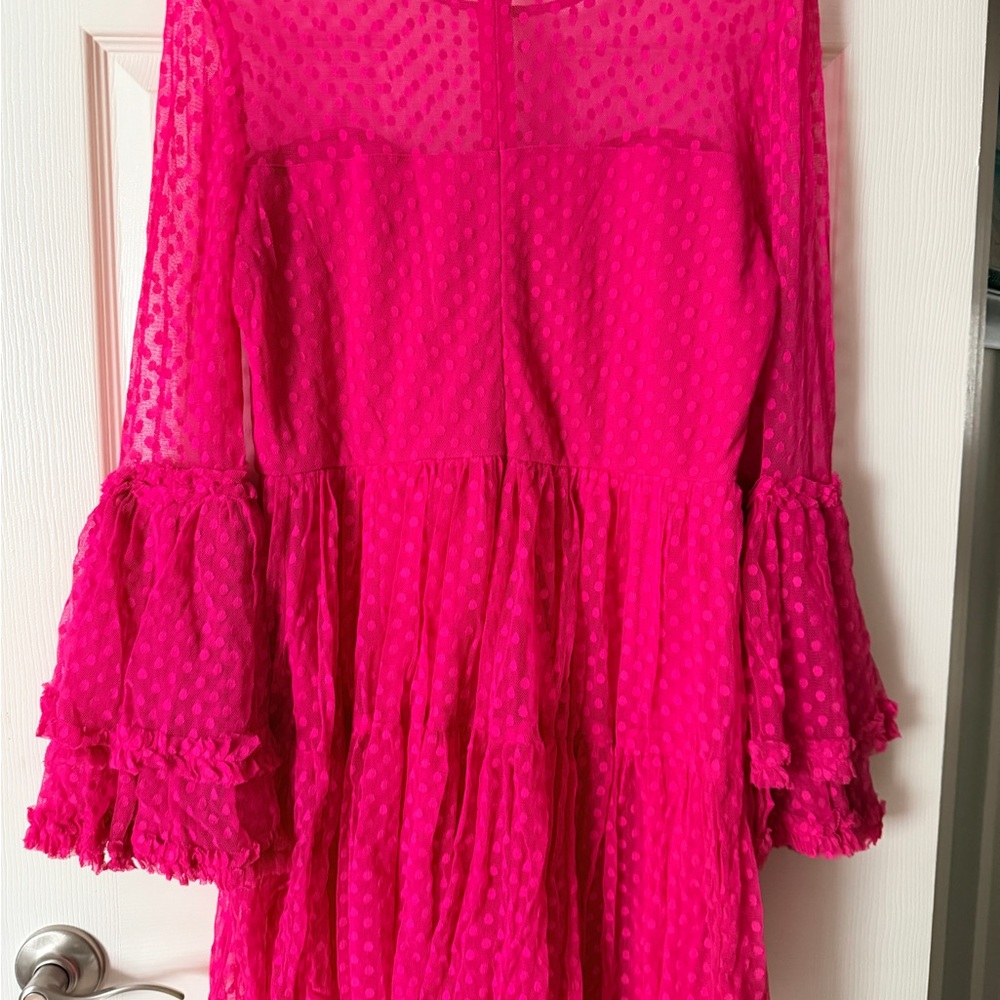 Lace & Beads Ruffle Dress - Picture 2 of 7